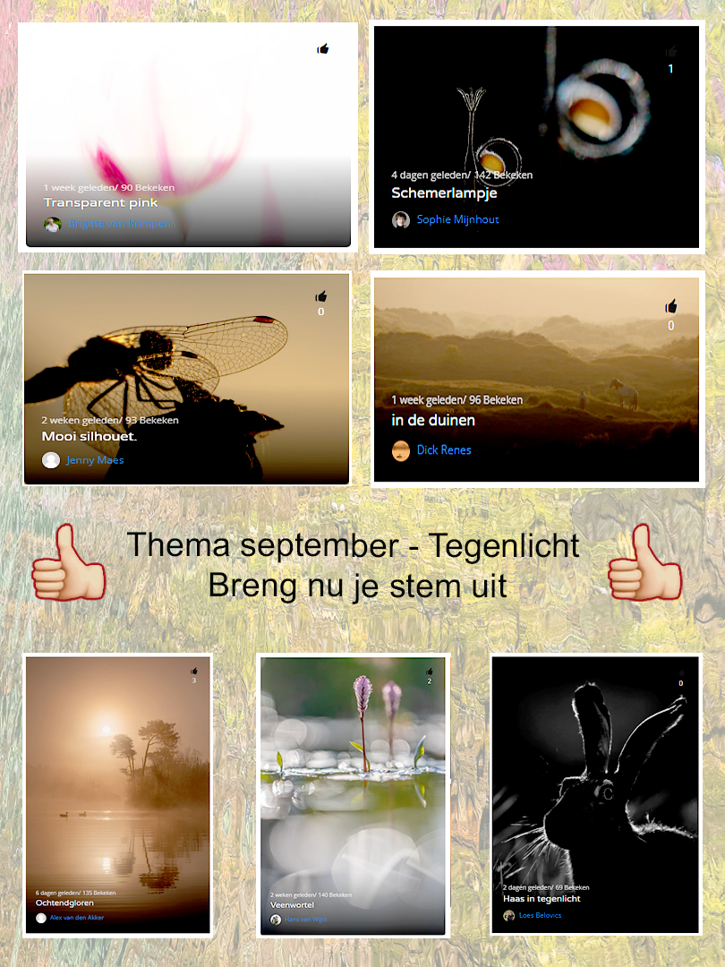 Maandthema Tegenlicht stemmen LIght VersionsRGB