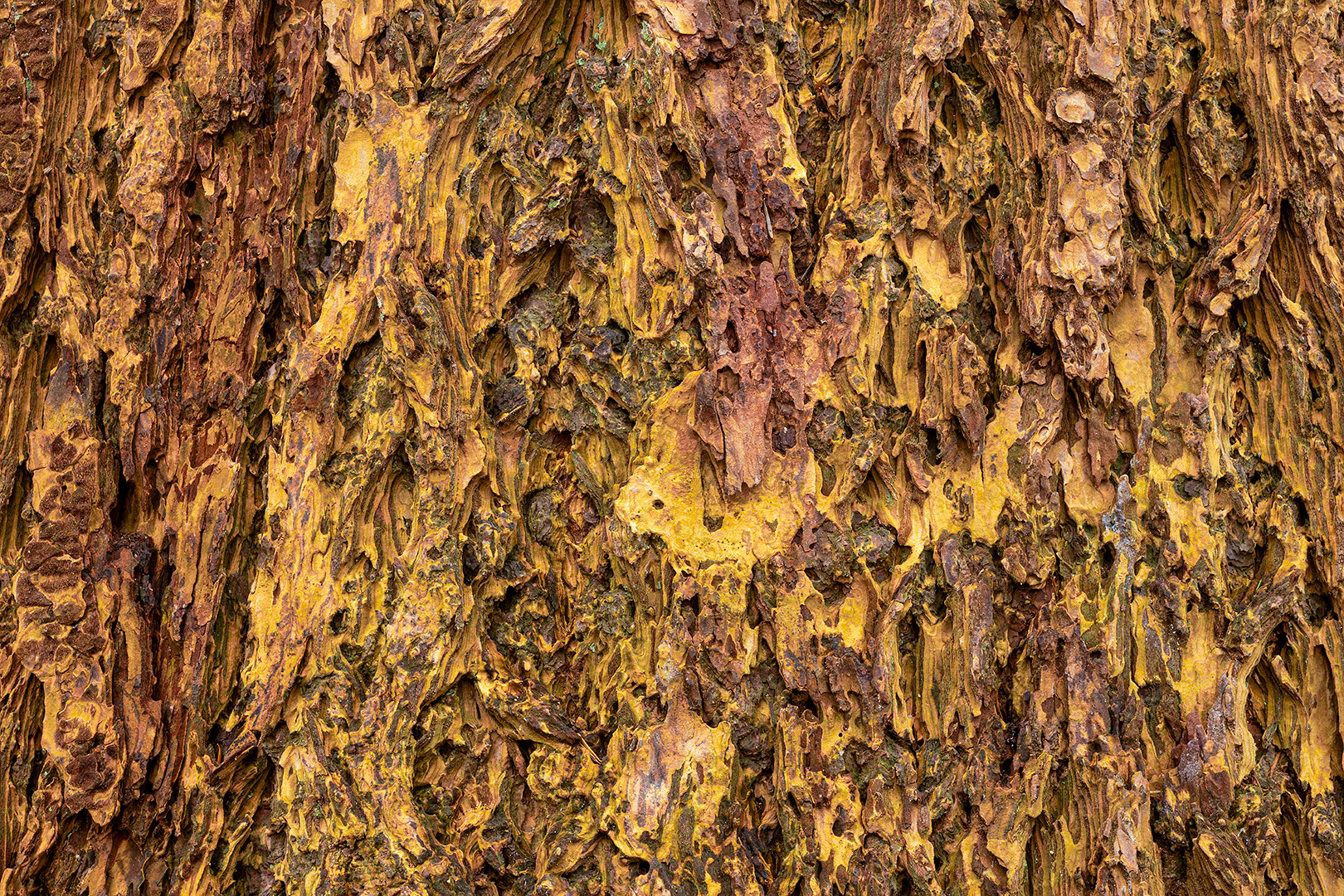 IMG_2107 corr 1080PX sRGB