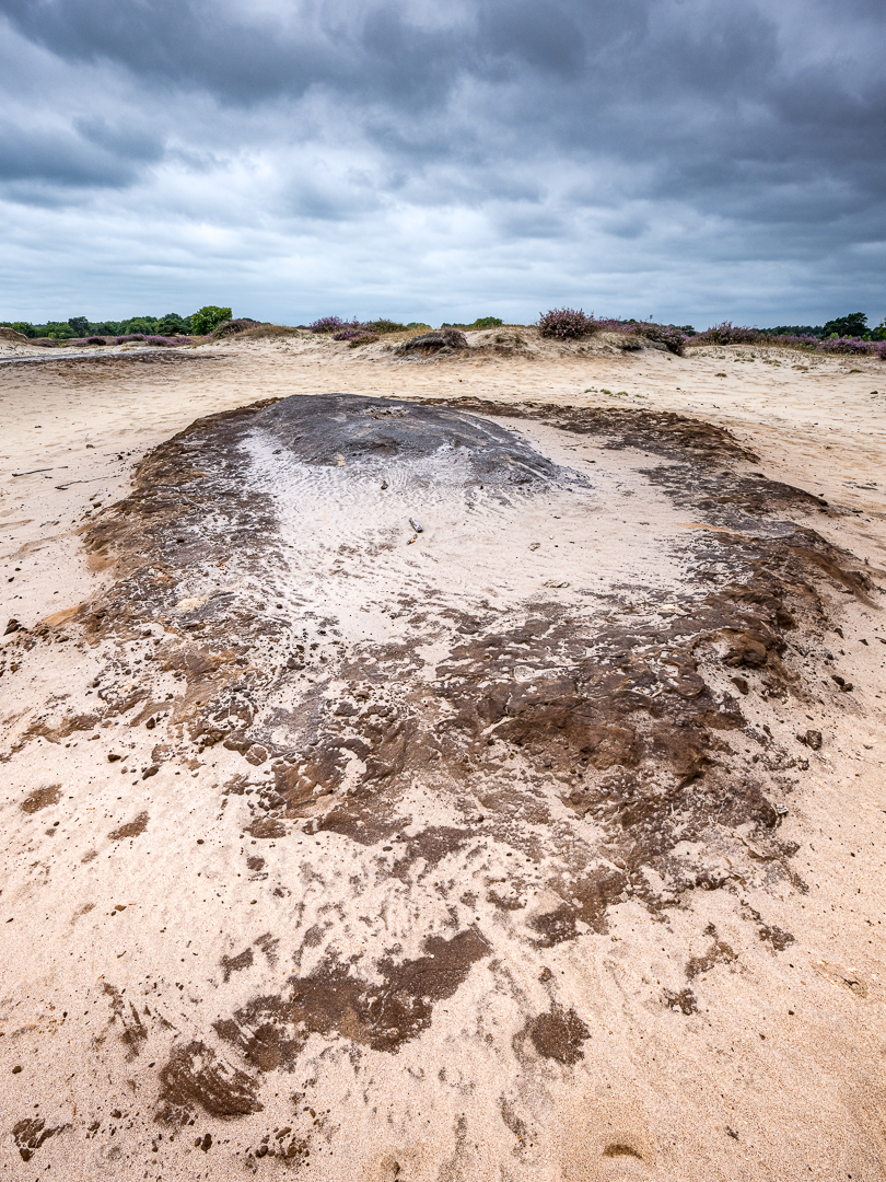 Zandstructuren - Deel de Natuur - Loes Belovics