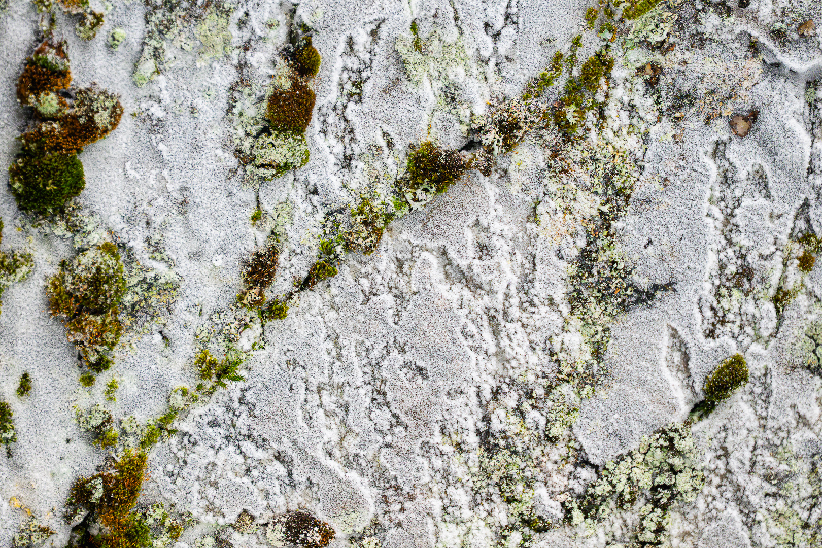 _Z8A5719-Verbeterd-NR