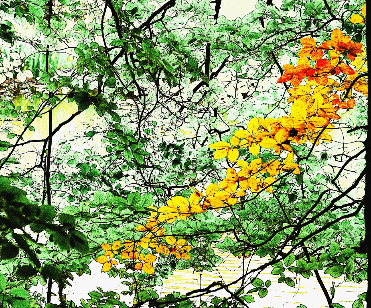 DSC06328 DDN Elswout 02102025 3d