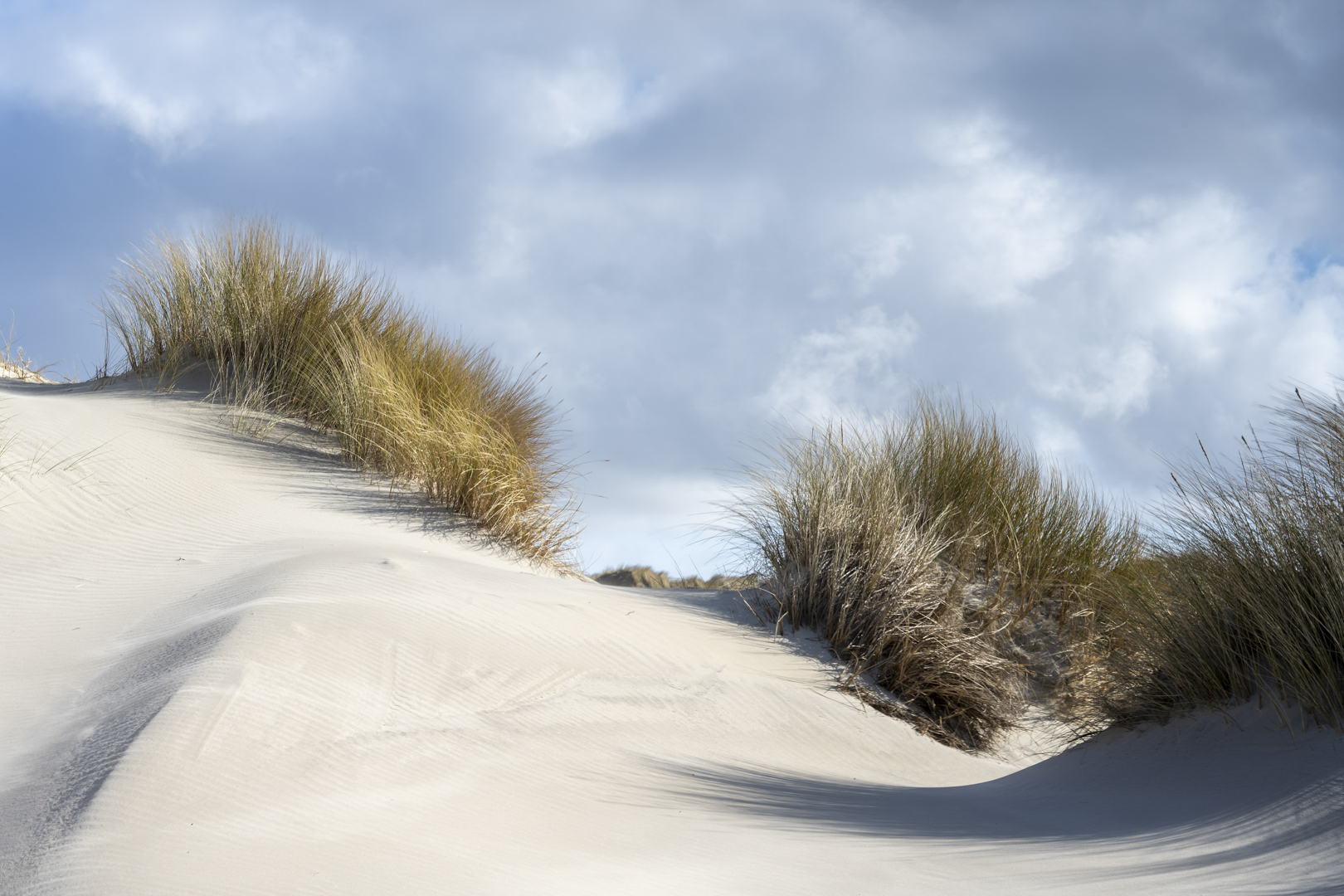 duinen_