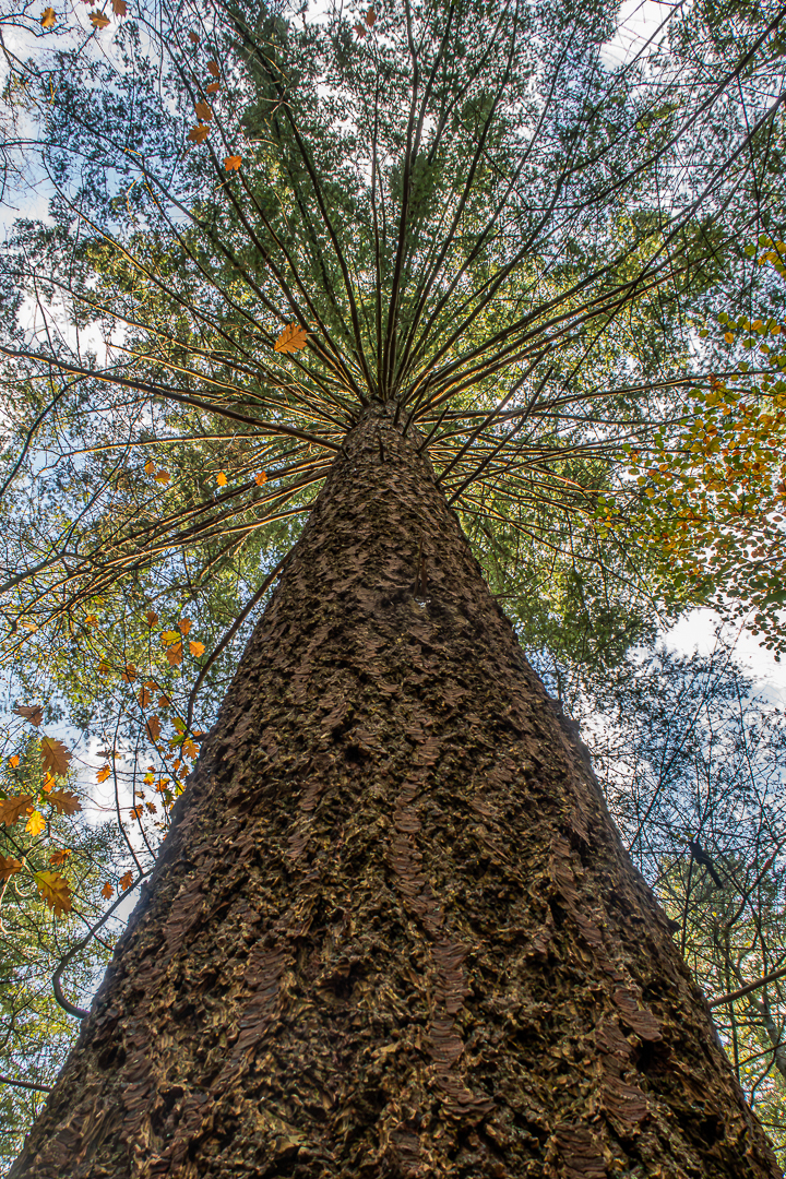 2025 tuin okt bewerkt (2 van 1)