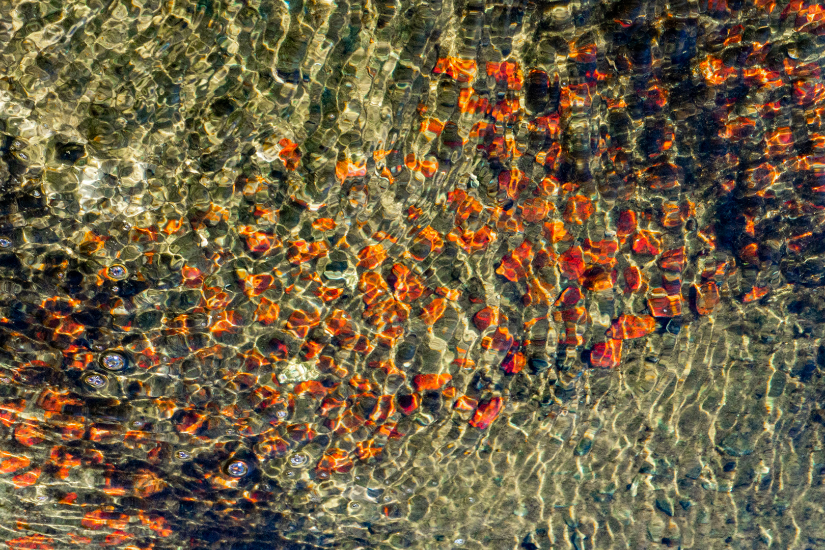 221019waterloopbos (43)_DDN