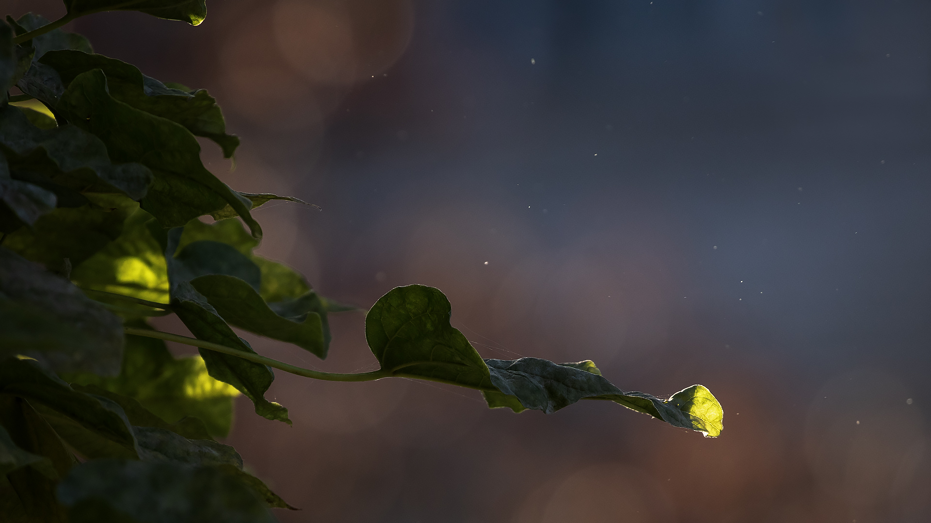 The air that we breathe