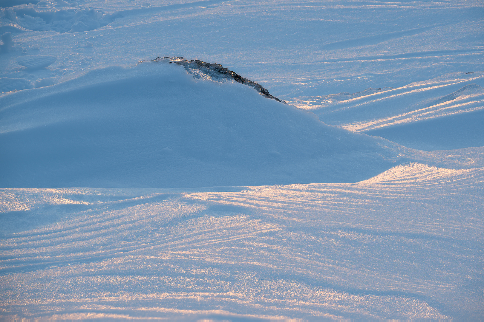 2025-03-07 22-25-44 (B,Radius2,Smoothing2)