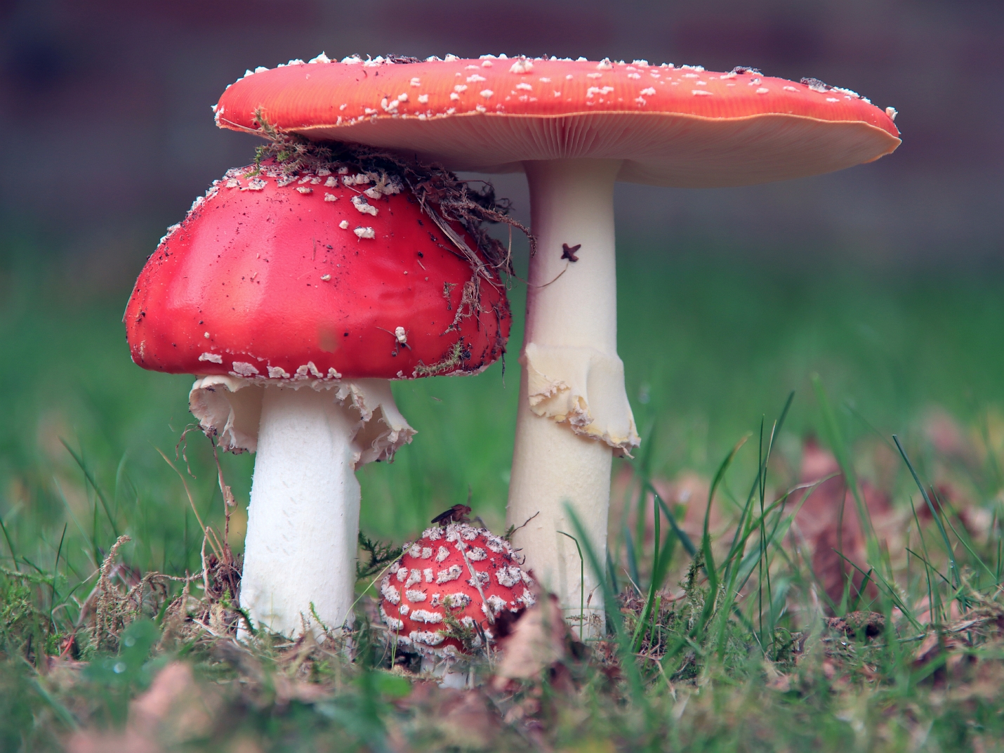 sized_IMG_3229_bewerkt-2(002)