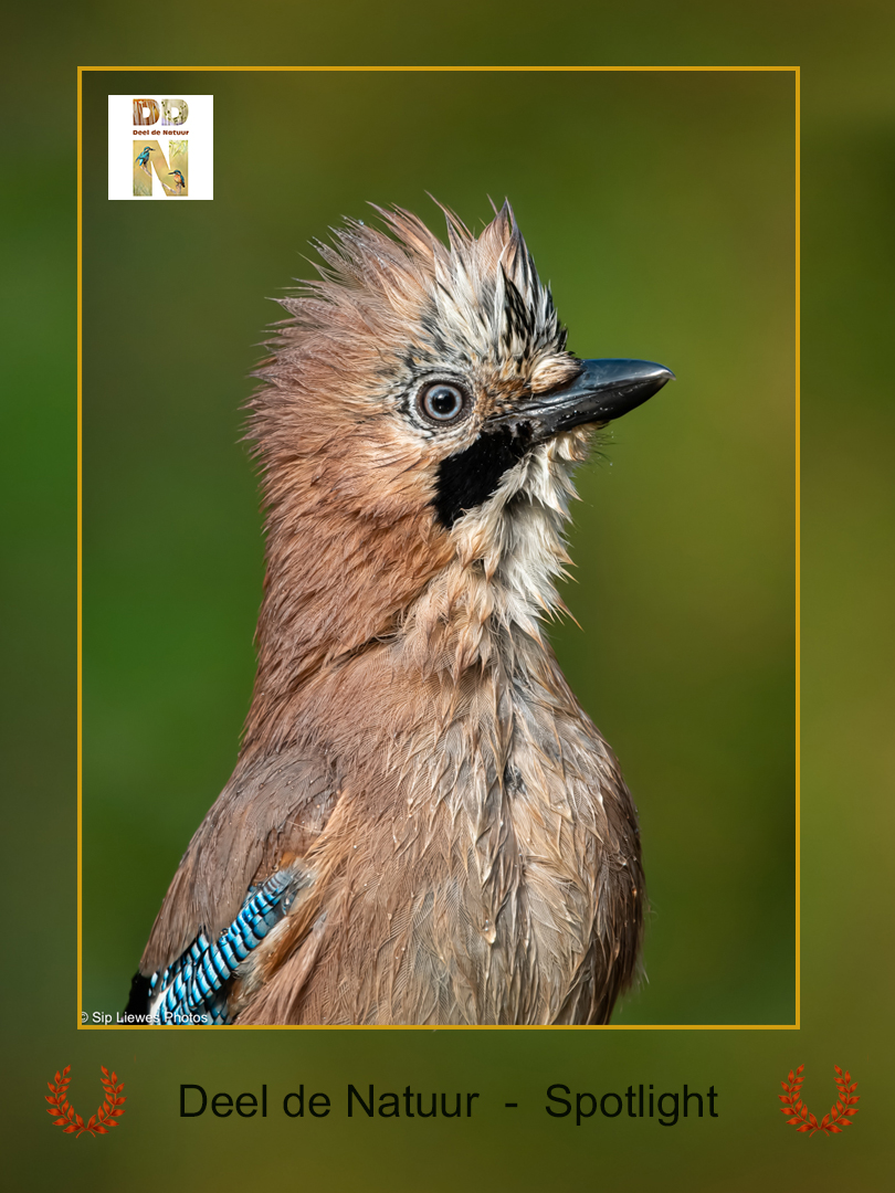 DDN Spotlight 20-10-2025