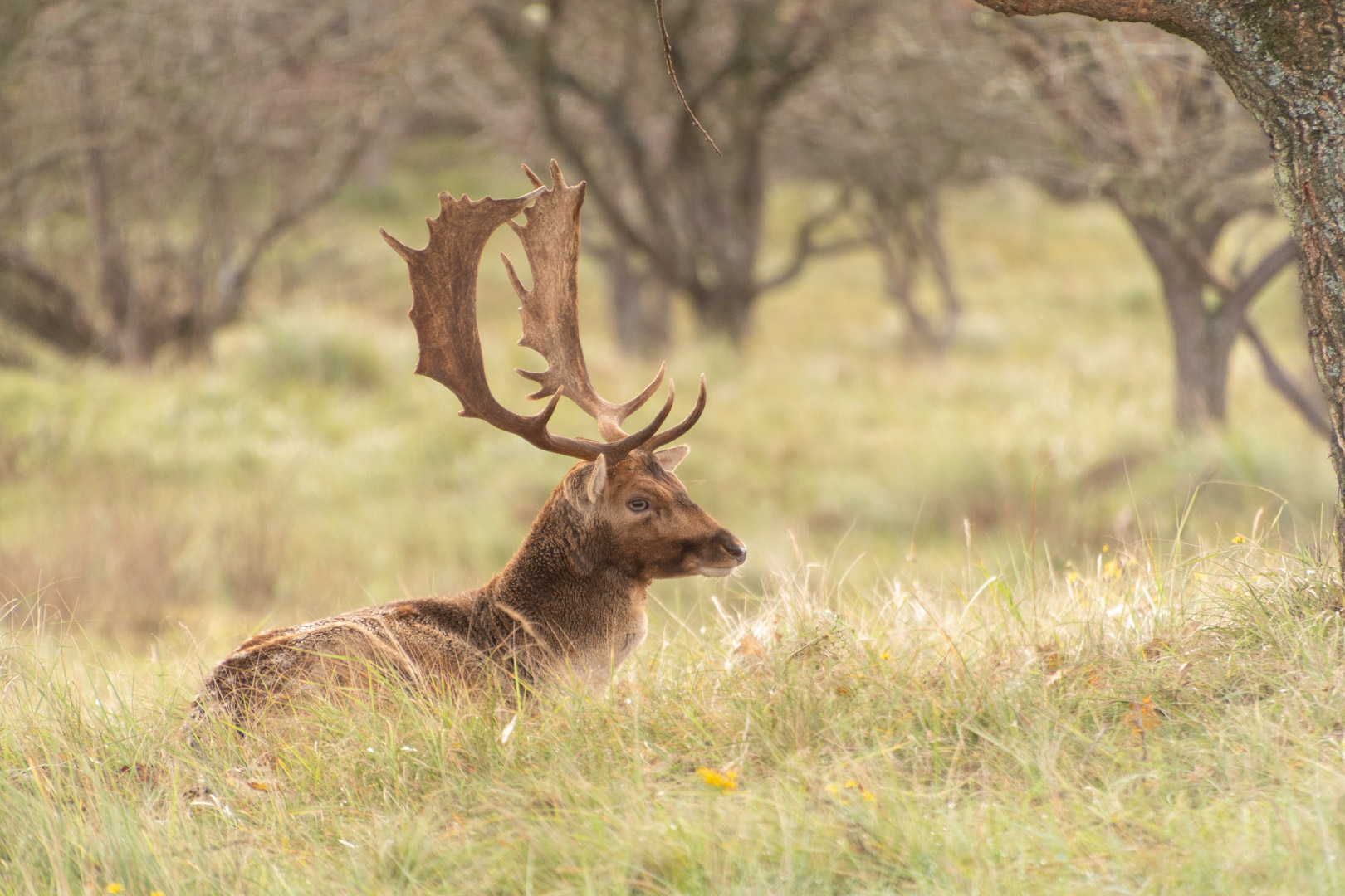 20251018_AWL_061061-2