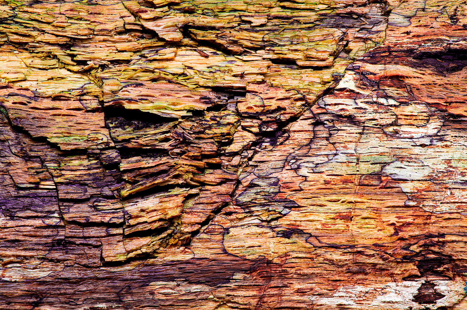 2025-10-21 19-44-59 (A,R8,S4)2025-10 corr 1080PX sRGB