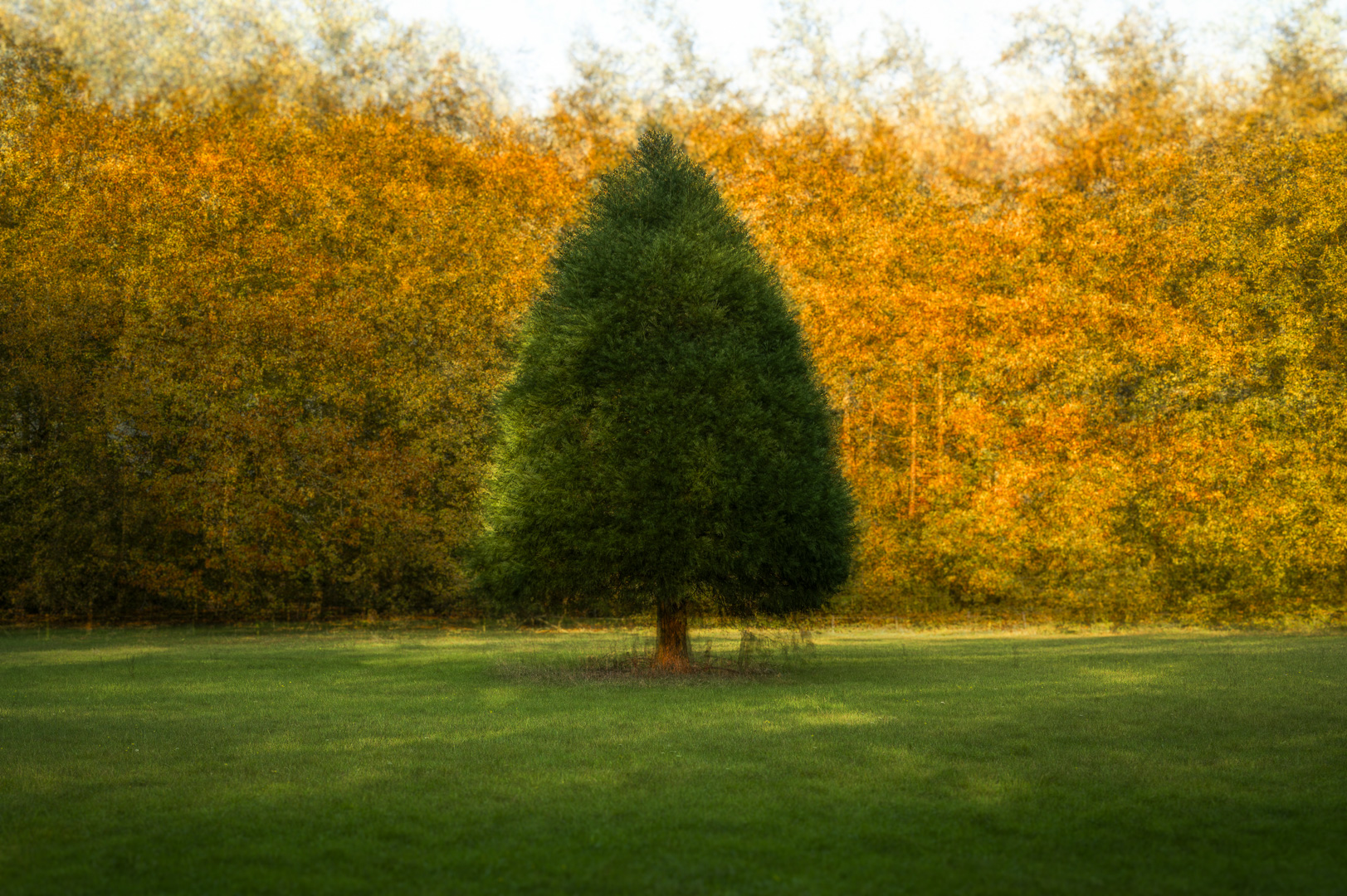 241024-Leur-014-bewerkt