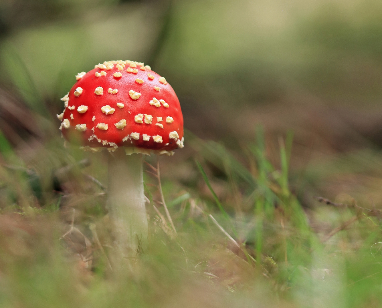 sized_IMG_3306.2_bewerkt-DDN