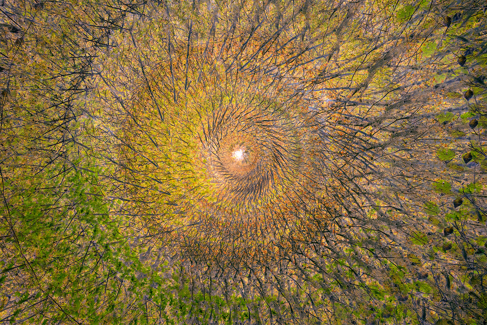 IMG_0485 corr 1080PX sRGB