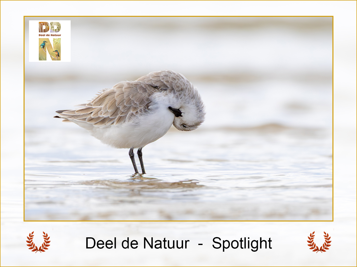 DDN Spotlight 30-10-2025