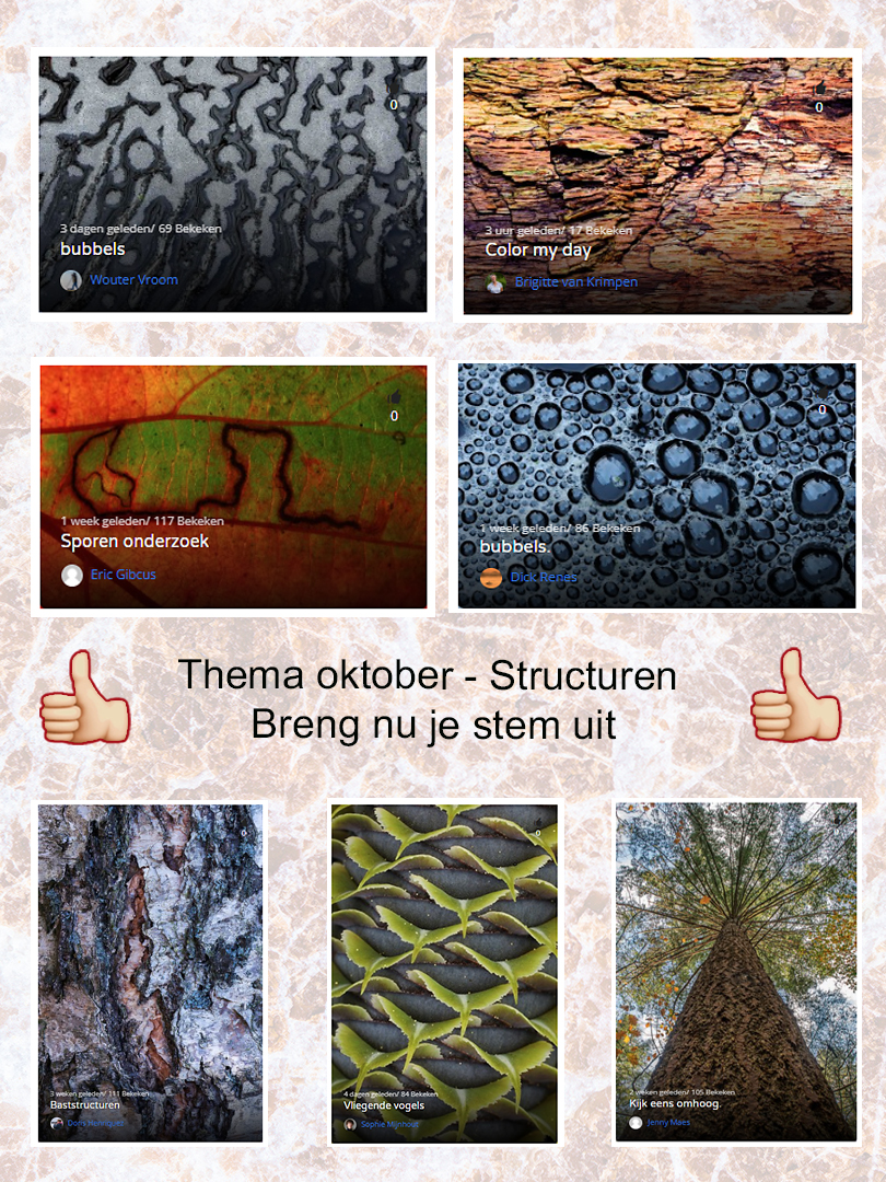 Maandthema Structuren 2025 Stemmen sRGB(1)