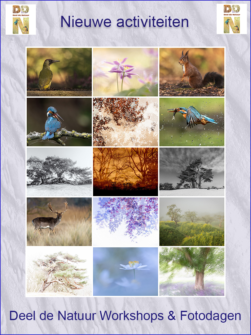 Promo nieuwe activiteiten DDN voorjaar en zomer 2026 v1