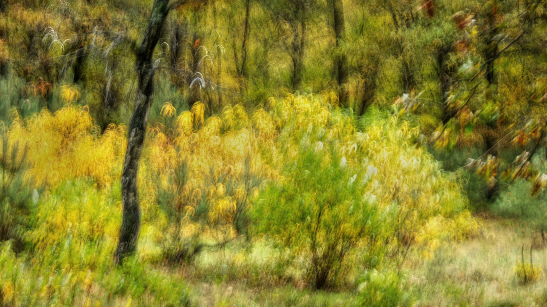 PB011222-studio-1klein