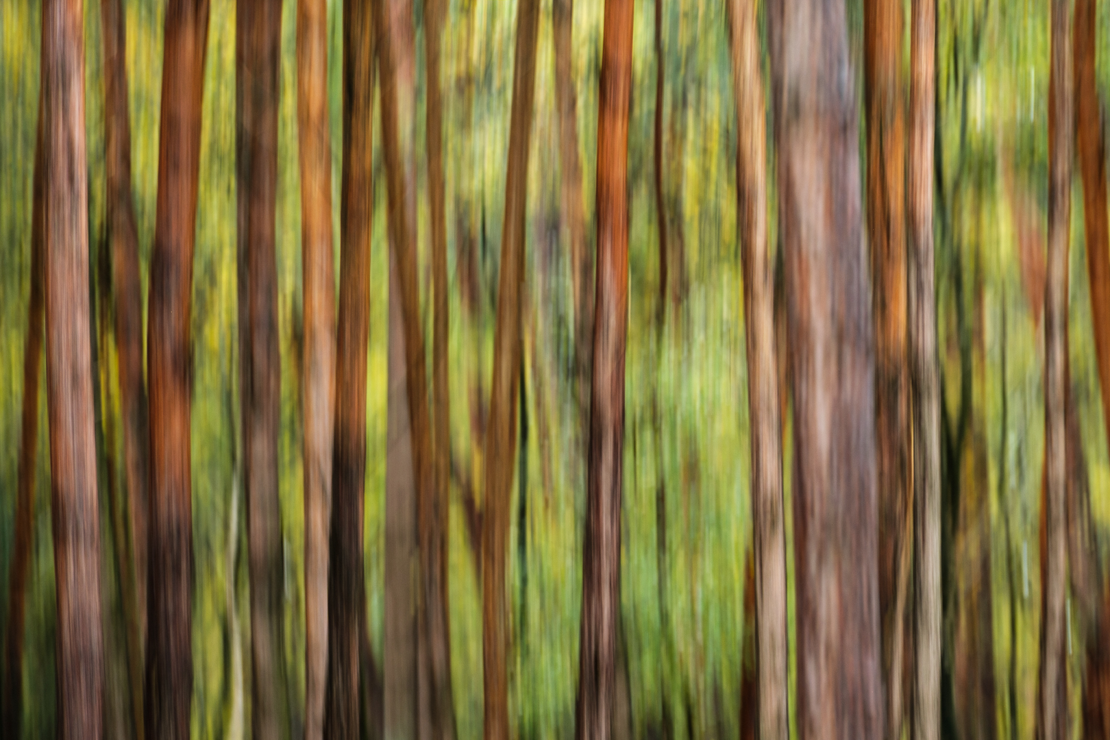 DDN 20251101 PlankenWambuis180