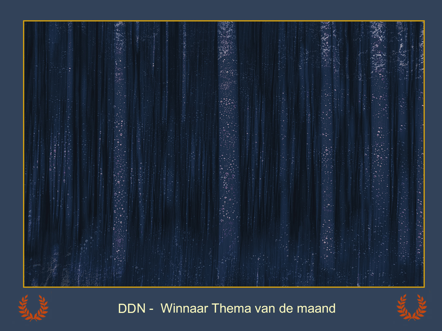 DDN Spotlight Winnaar maanthema 10-2025  