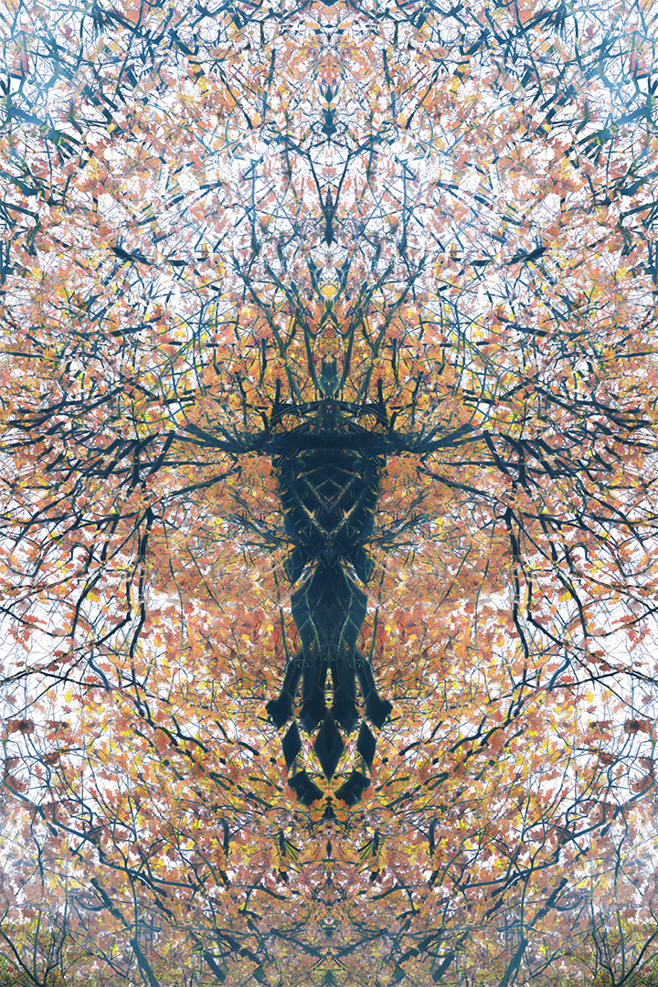 IMG_4191 corr 1080PX sRGB