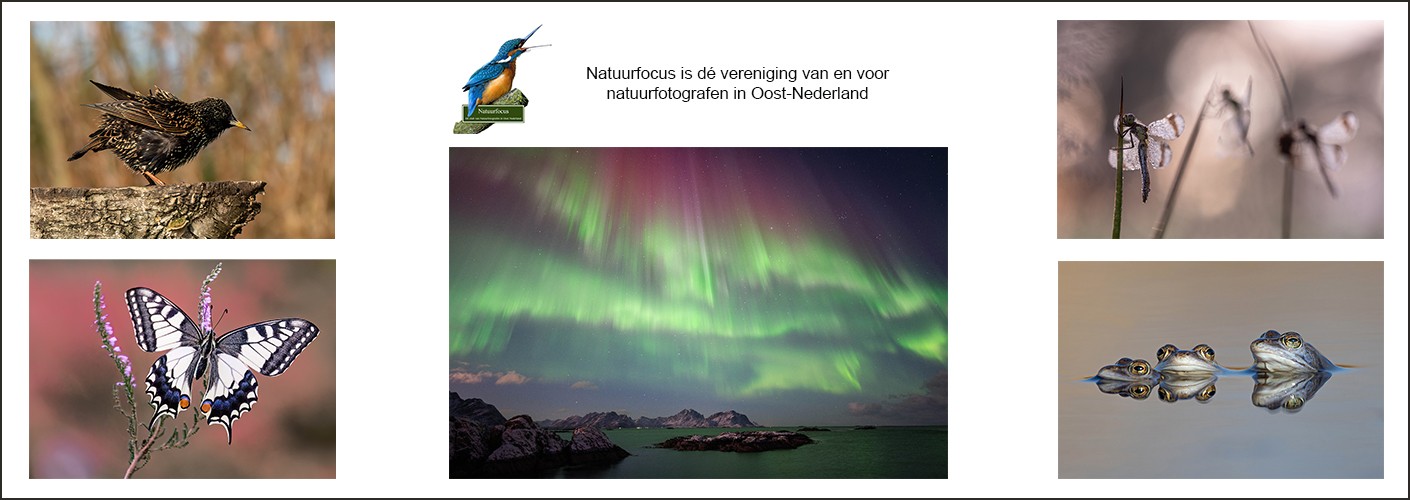 Natuurfocus