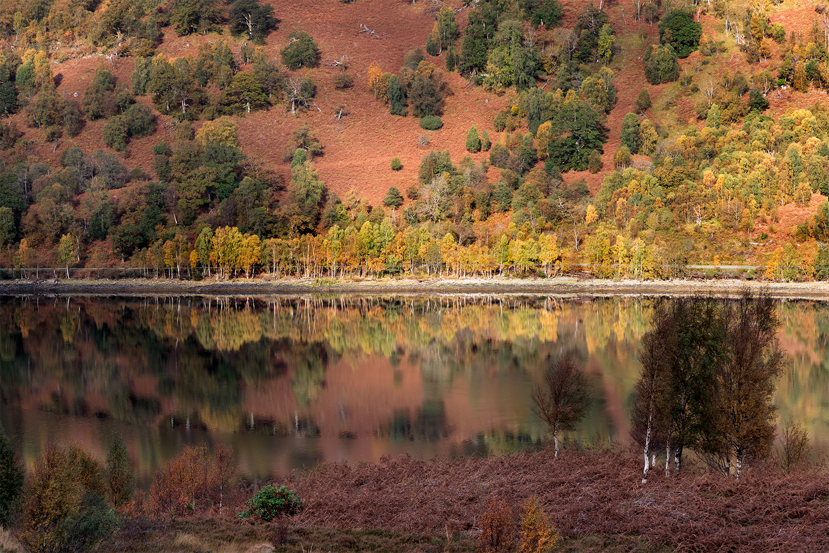 IMG_1787 corr 1080PX sRGB