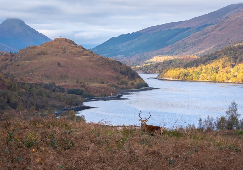 Een geweldig moment!