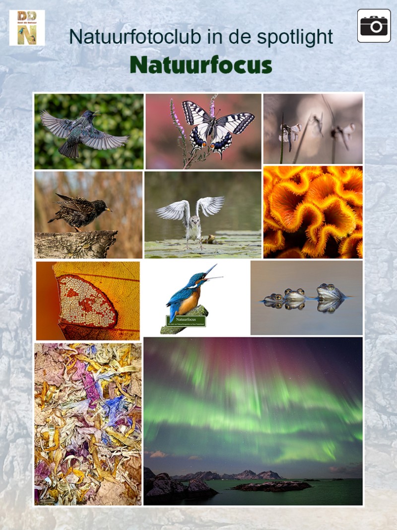 Natuurfocus