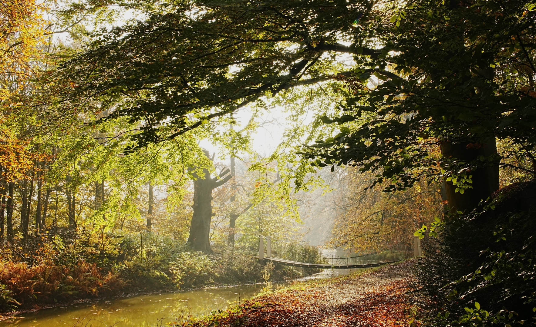 DSC08652 DDN3 Elswout 07112025 2