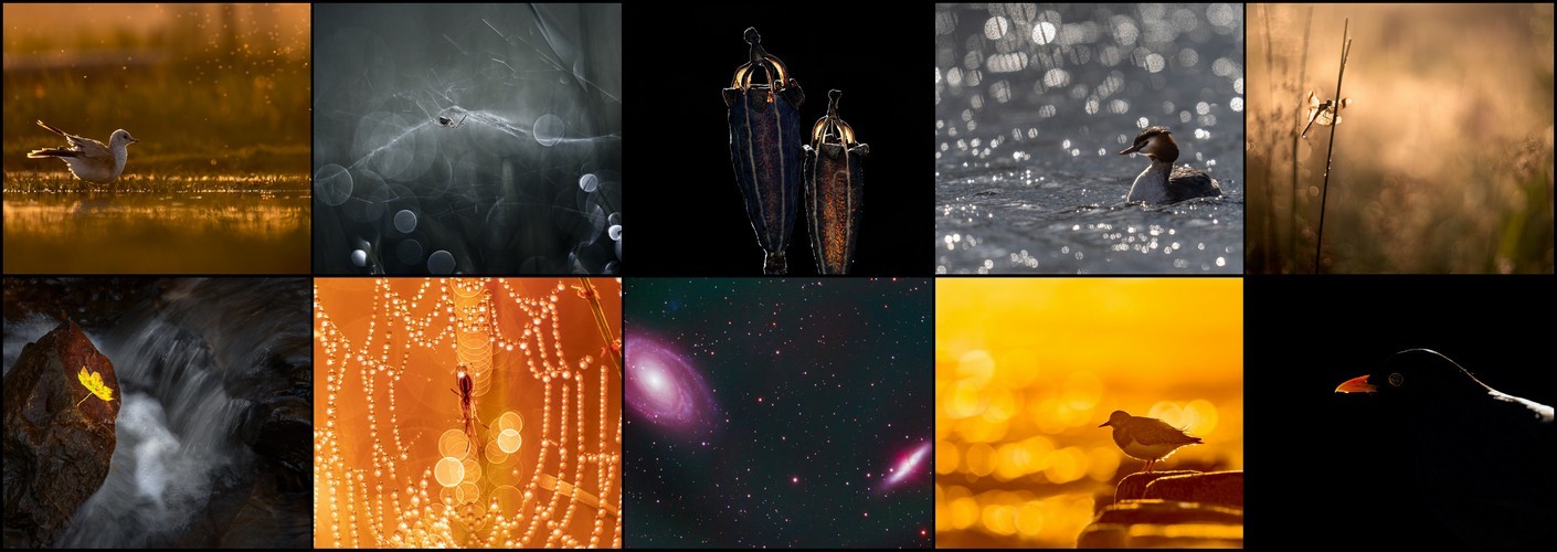 Thema van de maand december 2025 "Lichtpuntjes"