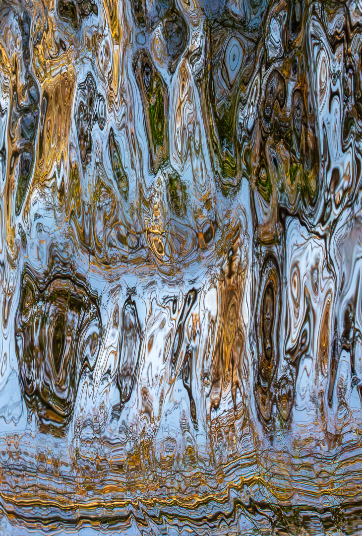 reflecties, Deel de Natuur, Loes Belovics