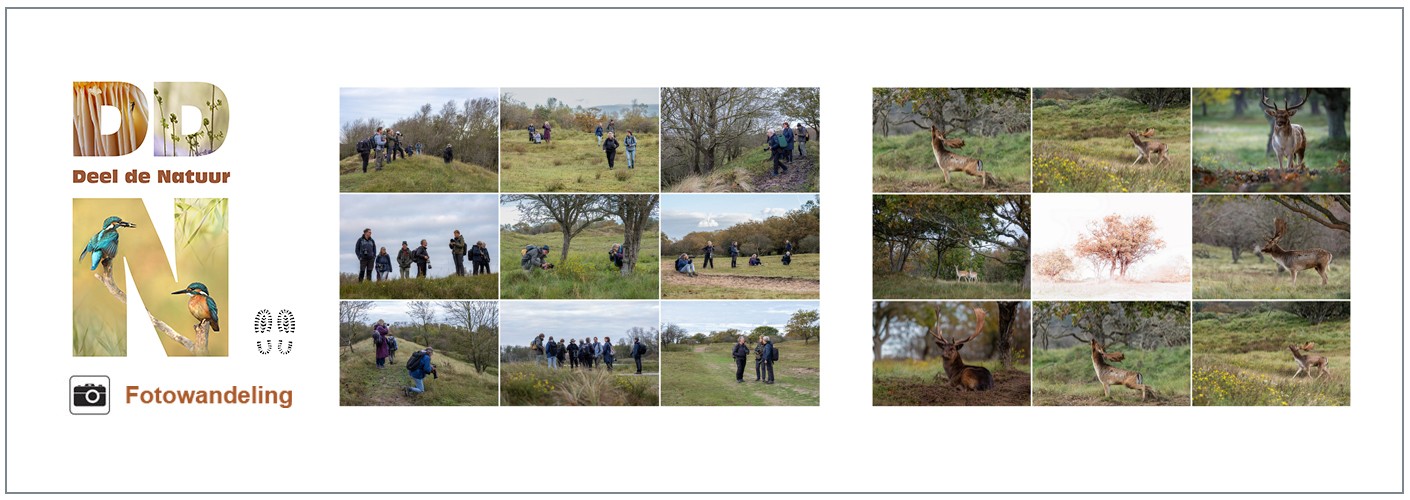 Verslag Fotowandeling Struinen door de AWD