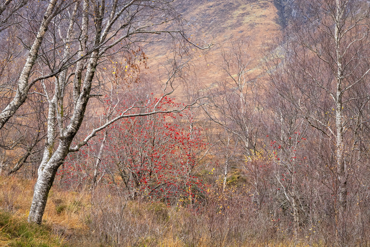 MA8A5402-gestapeld-Edit