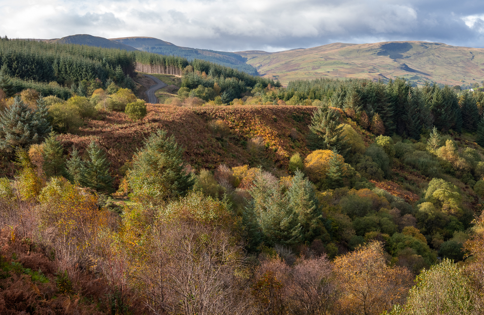 Herfstbos - Schotland - Deel de Natuur - Loes Belovics