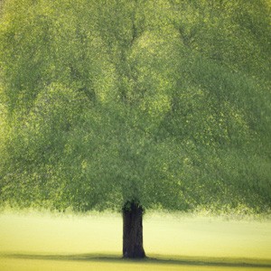 Profielfoto van Maria Curtis