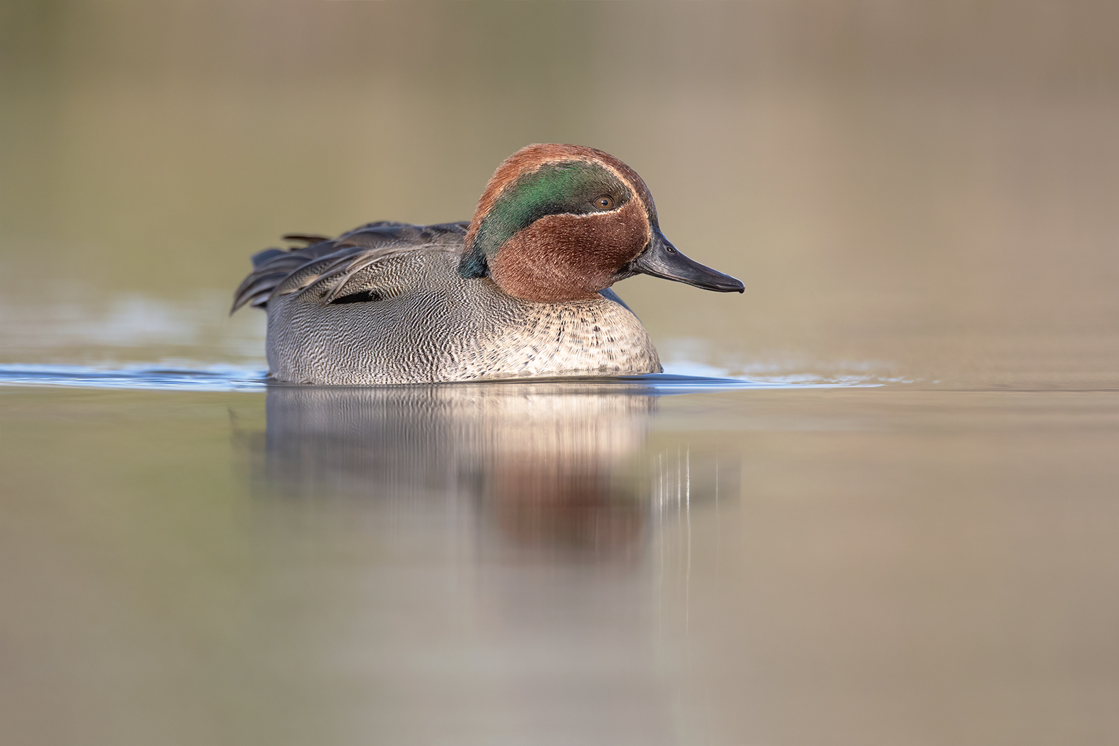 Wintertaling 9594 v 1600 S