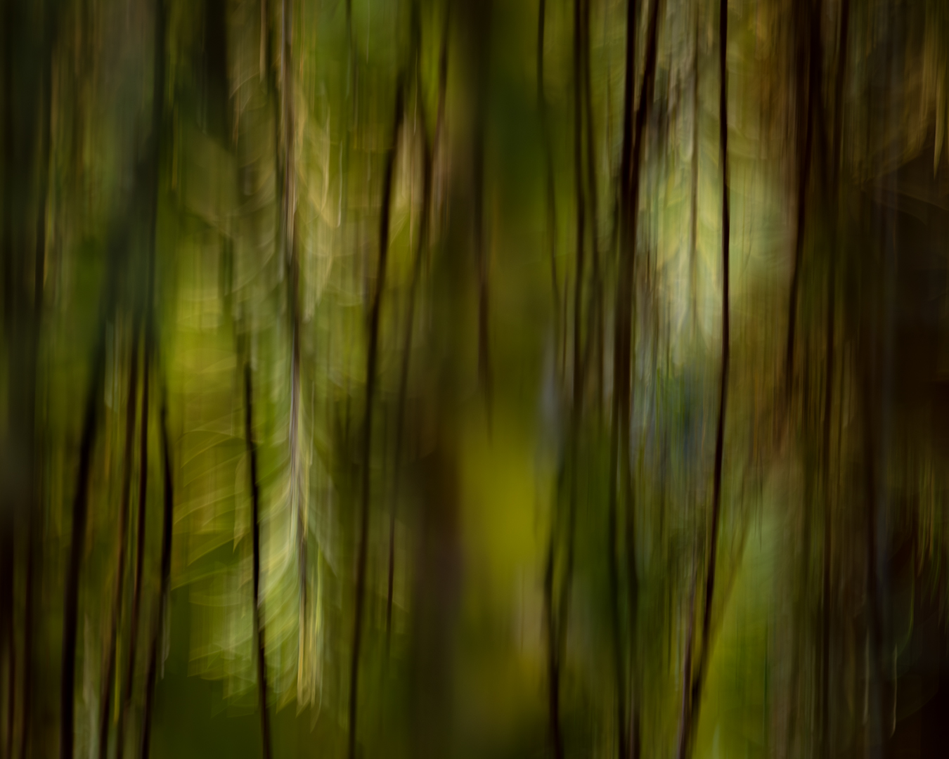 Treurende vrolijkheid