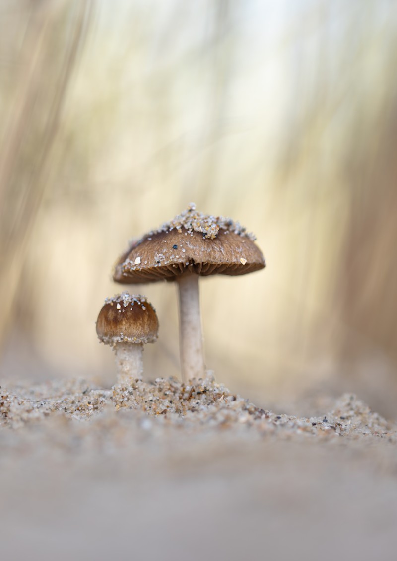 Autumn arrives on the beach
