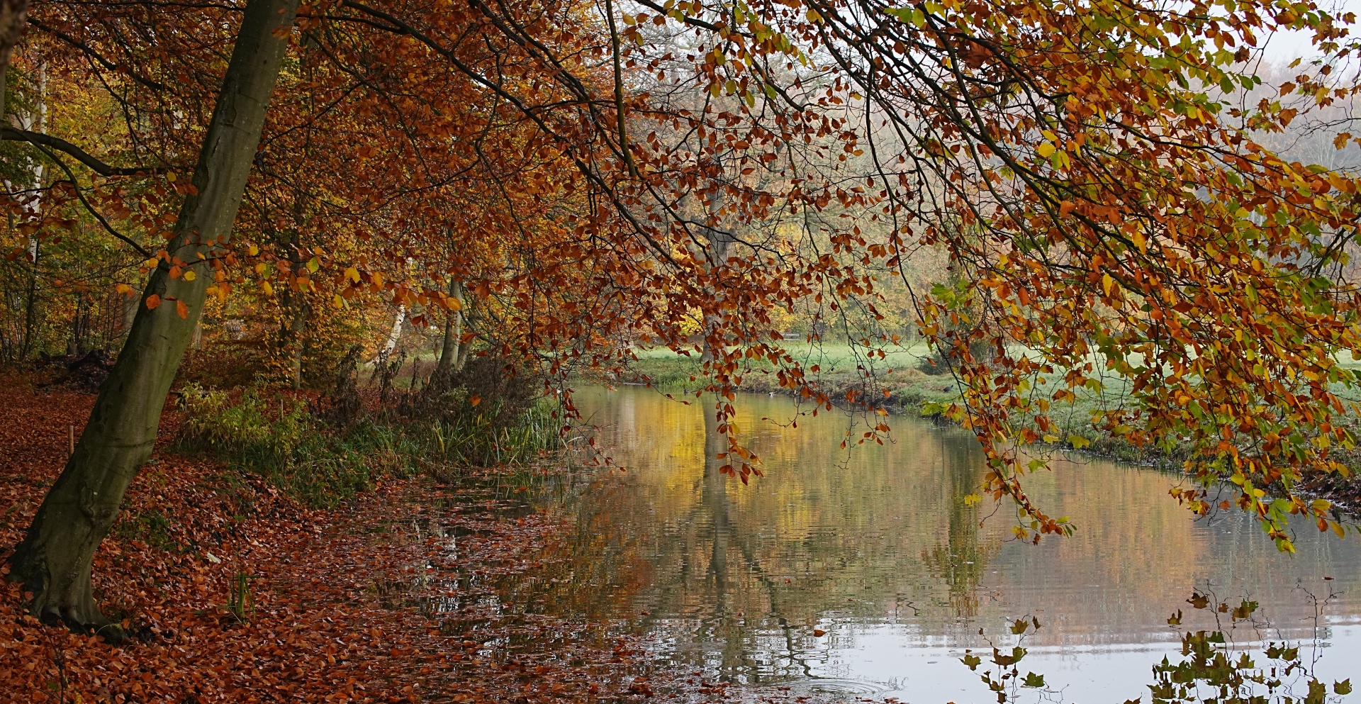 DSC08507 DDN Elswout 07112025 2b