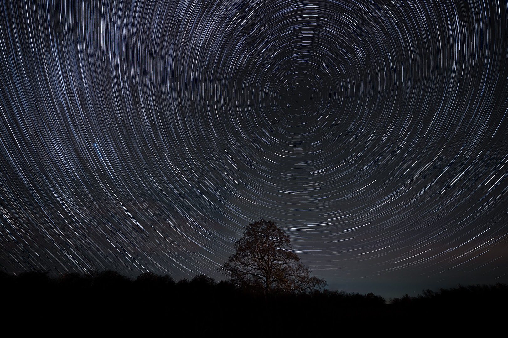 12-11-2025 boom  trails tiff groot donker 2bwddn