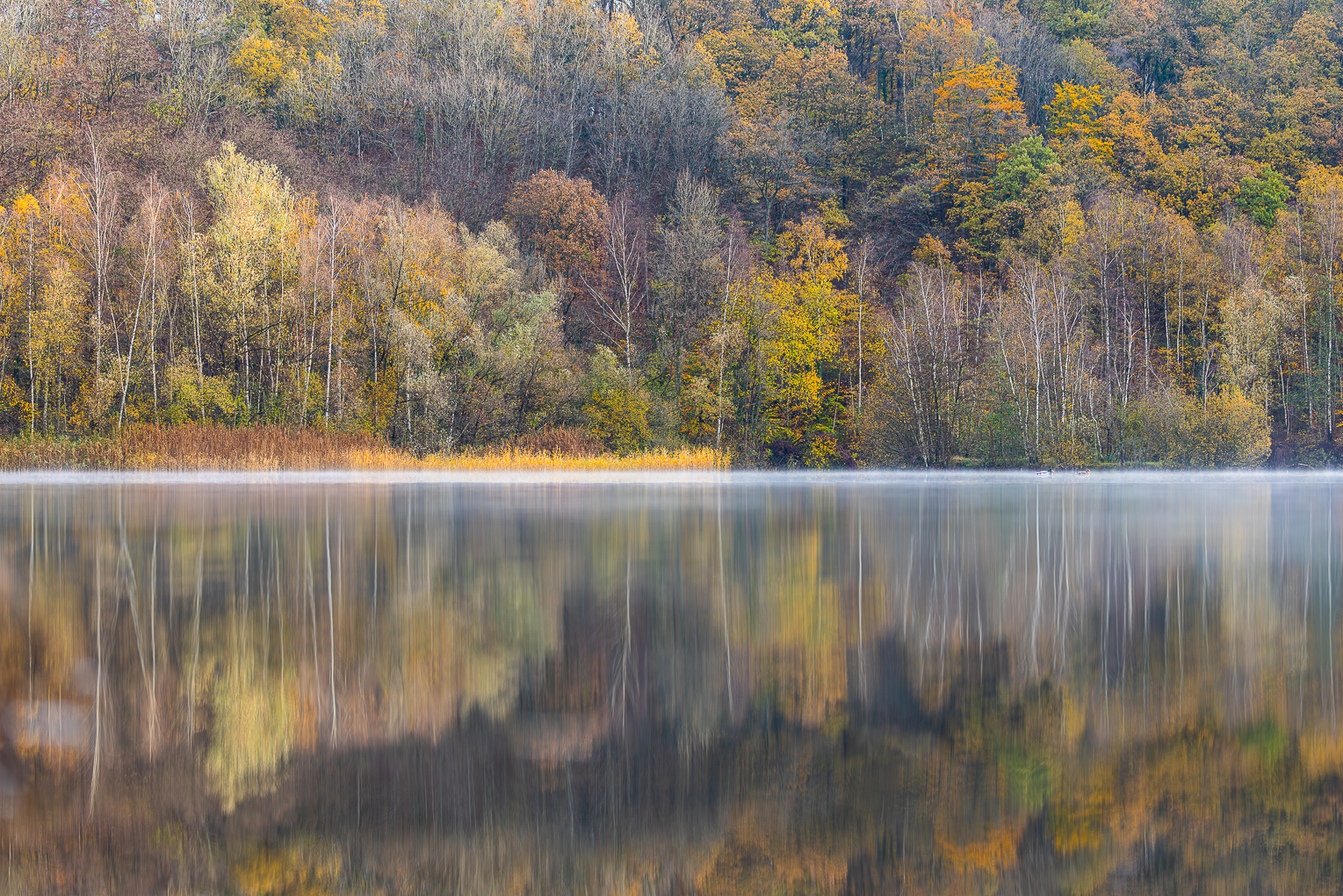 HvW_2025_11_20_ 0189