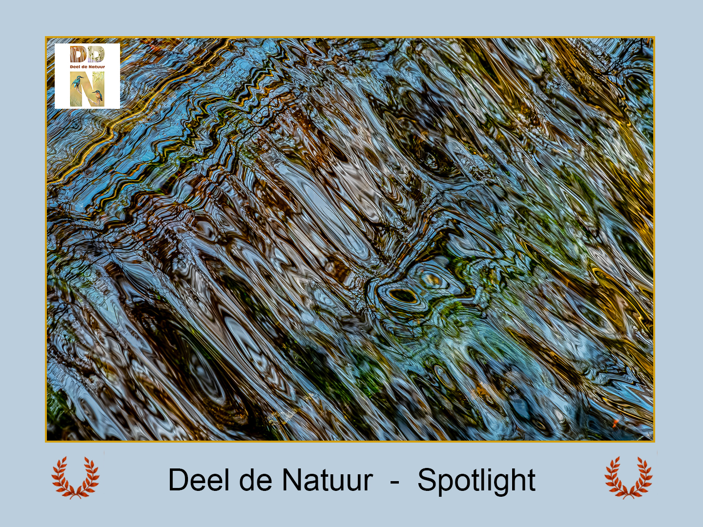 DDN Spotlight 23-11-2025