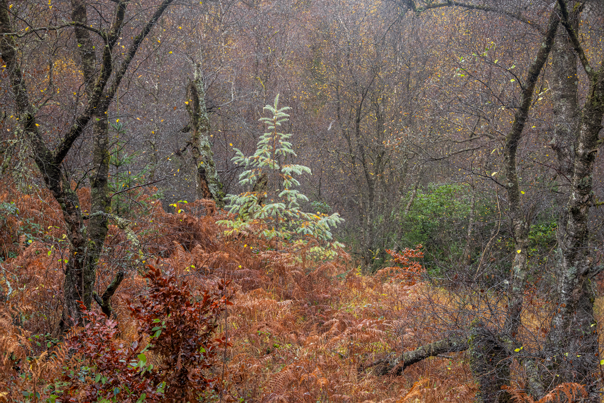 MA8A4778-gestapeld-Edit