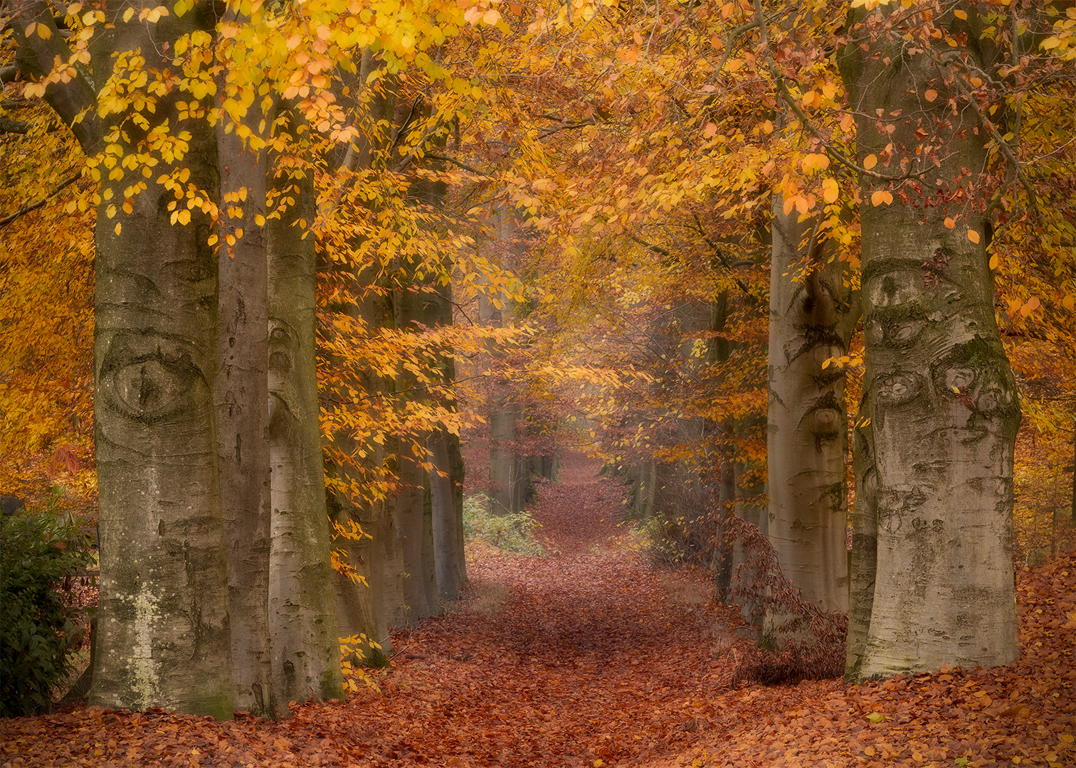 IMG_2272 corr 1080PX sRGB