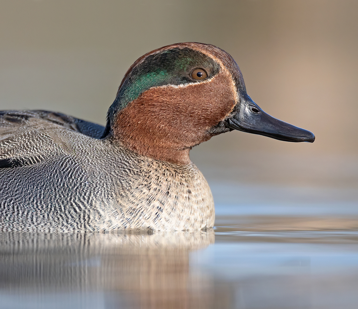 Wintertaling 9643 v 1080 SS