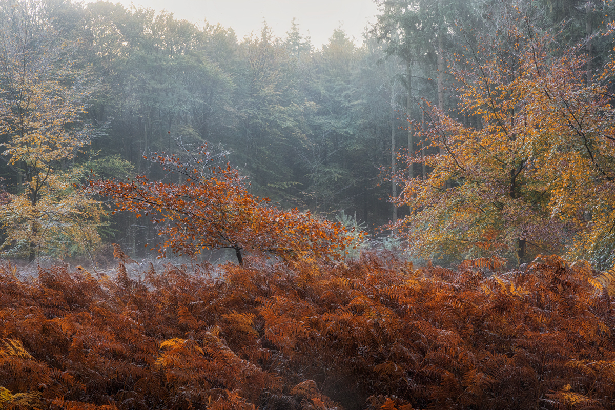 MA8A0524-gestapeld-Edit