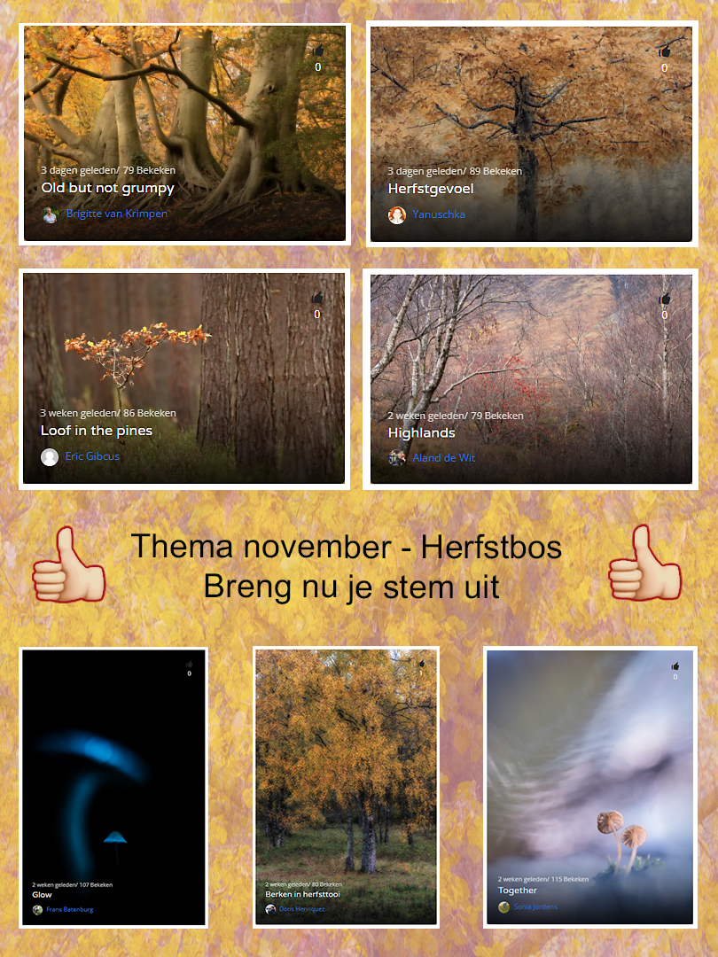 Maandthema Herfstbos 2025 Stemmen 