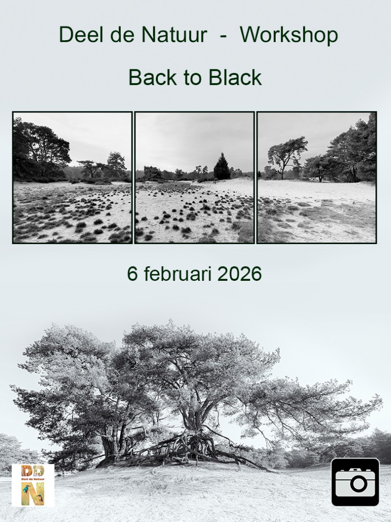 Workshop Back to black