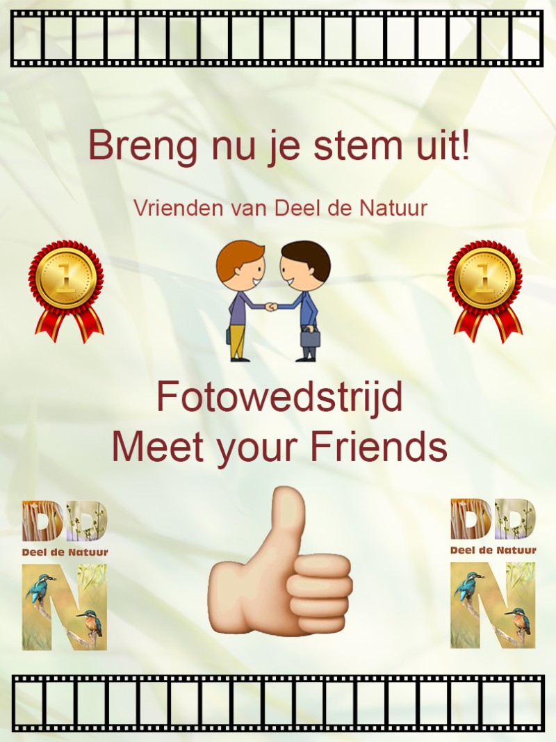 Fotowedstrijd Meet your friends. Stem nu!