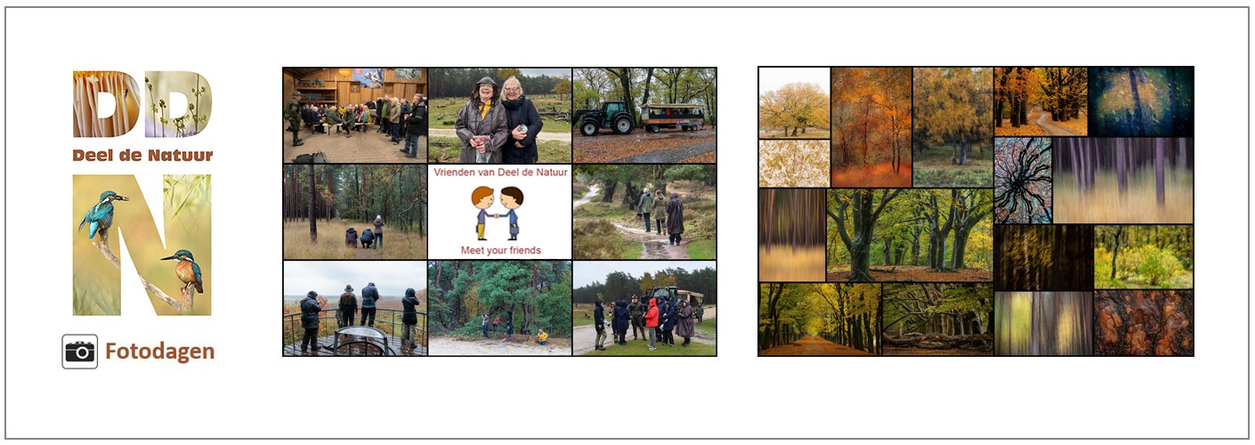 Verslag Meet your Friends